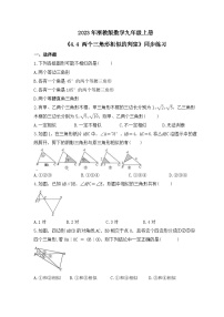 浙教版九年级上册4.4 两个三角形相似的判定优秀课堂检测