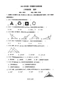 广东省广州市天河区暨南大学附属实验学校2023--2024学年八年级上学期数学期中试卷