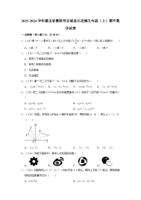 2023-2024学年湖北省襄阳市谷城县石花镇九年级上学期期中数学试卷（含解析）