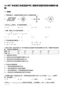 2023年广东省湛江市遂溪县中考二模数学试题和答案详解