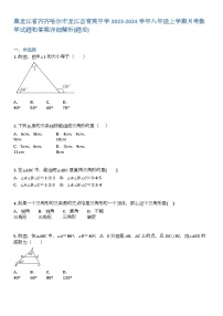 黑龙江省齐齐哈尔市龙江县育英中学2023-2024学年八年级上学期月考数学试题和答案详解