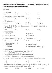 辽宁省沈阳市民办中学联合体2023-2024学年八年级上学期第一次月考数学试题和答案详解