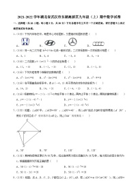 2021-2022学年湖北省武汉市东湖高新区九年级（上）期中数学试卷(含答案)