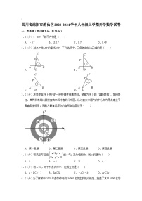 四川省绵阳市游仙区2023-2024学年八年级上学期开学考试数学试卷(含解析)