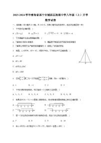 西宁市海湖中学2023-2024学年八年级上学期开学考试数学试卷(含解析)