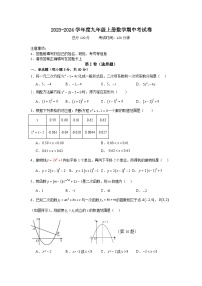 广东省雷州市第八中学2023-2024学年上学期九年级数学期中试题