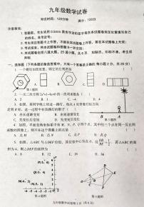 辽宁省沈阳市于洪区2023-—2024学年九年级上学期11月期中数学试题