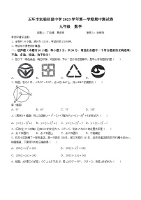 浙江省台州市玉环市实验初级中学2023-2024学年九年级上学期期中数学试题