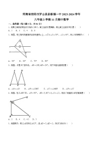 河南省信阳市罗山县彭新镇一中2023-2024学年八年级上学期期中数学试题