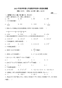 广西壮族自治区防城港市防城区2023-2024学年七年级上学期期中数学试题