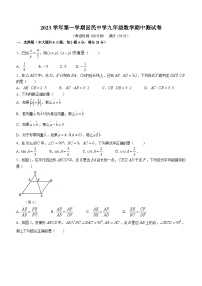 上海市回民中学2023-2024学年九年级上学期期中数学试题