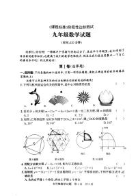 山东省济宁市泗水县2023—-2024学年九年级上学期期中考试数学试题