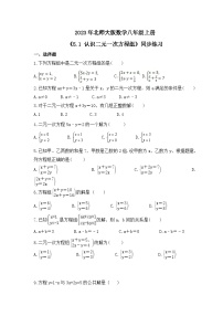 数学八年级上册1 认识二元一次方程组精品课时练习