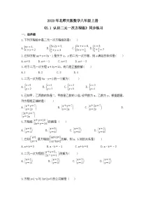 数学八年级上册1 认识二元一次方程组精品课时练习