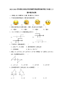 浙江省杭州市西湖区保俶塔实验学校2023—2024学年上学期八年级期中数学试卷