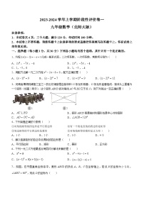 河南省周口市项城市2023-2024学年九年级上学期10月月考数学试题(无答案)