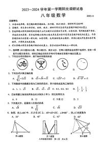 江苏省苏州高新区2023-2024学年上学期八年级数学期中阳光调研试卷