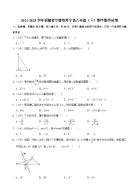 福建省宁德市寿宁县2022-2023学年八年级下学期期中考试数学试卷(含答案)