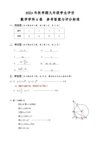 江苏省泰州市兴化市2023—-2024学年九年级上学期学生评价数学A卷试题