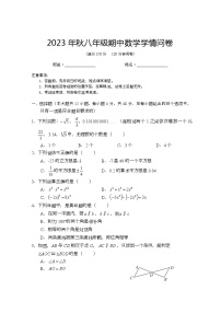 四川省巴中市巴州区2023-2024学年 八年级上学期数学期中测试