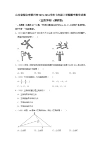 山东省烟台市莱州市2023—-2024学年七年级上学期期中数学试卷（五四学制）