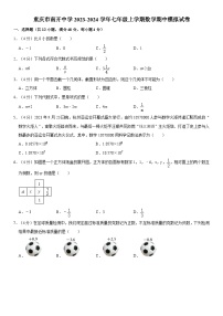 重庆市南开中学2023-2024学年七年级上学期数学期中模拟试卷