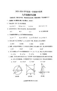 江苏省徐州市2023-2024学年九年级上学期11月期中数学试题
