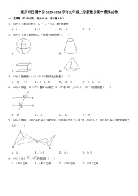 重庆市巴蜀中学校2023-—2024学年九年级上学期数学期中模拟试卷