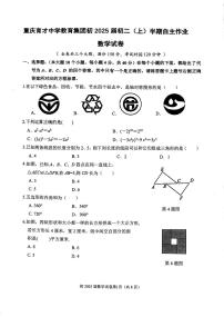 重庆市育才中学校2023-2024学年七年级上学期11月期中数学试题