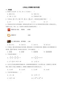 山东省七年级上学期期中数学试卷十套附参考答案