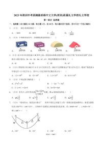 2023年广东深圳香港中文大学(深圳)附属礼文学校九年级中考数学模拟试题（无答案）