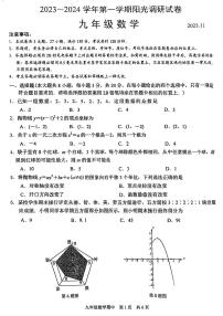 江苏省苏州市高新区2023-2024学年九年级上学期期中数学试卷