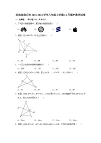 河南省商丘市2023-2024学年八年级上学期11月期中数学试题（含解析）