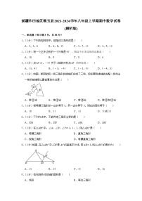 新疆和田地区墨玉县2023-2024学年八年级上学期期中数学试卷