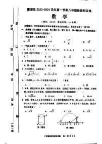 福建省宁德市霞浦县2023-2024学年八年级上学期11月期中数学试题