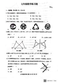 山东省泰安市岱岳区2023-2024学年七年级上学期11月期中数学试题