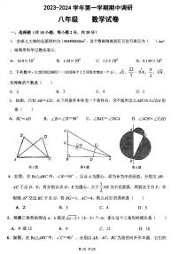 江苏省苏州市星湾学校2023—-2024学年上学期八年级数学期中调研试卷