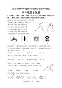 山东省菏泽市巨野县2023-2024学年八年级上学期11月期中数学试题