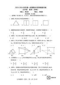 广东省深圳市宝安中学2023-2024学年九年级上学期期中考试数学试卷