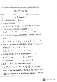 四川省内江市市中区全安镇初级中学校2023-2024学年九年级上学期11月期中数学试题