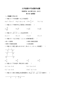 湖南省衡阳市祁东县2023-2024学年九年级上学期期中数学试题