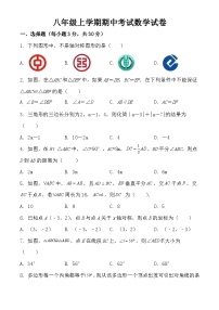 湖北省天门市华斯达学校2023-2024学年八年级上学期期中考试数学试题