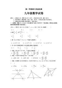 广东省深圳市宝安区振兴学校2022-2023学年九年级上学期期中考试数学试题