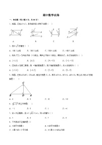 人教版七年级下学期期中数学模拟测试卷6