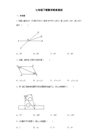 人教版7年级下学期数学期末  课时练06