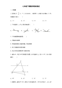 人教版7年级下学期数学期末测试卷09