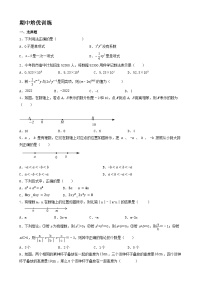 2023-2024学年人教版七年级数学上册期中培优训练试题