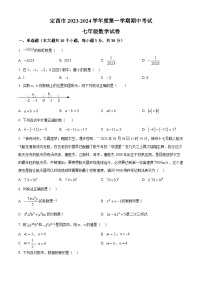 甘肃省定西市2023-2024学年七年级上学期期中数学试题