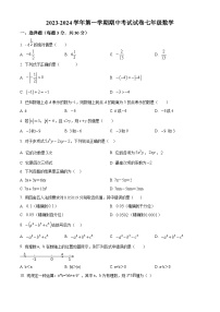 甘肃省金昌市永昌县2023-2024学年七年级上学期期中数学试题