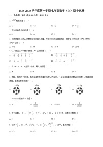 广东省开平市忠源纪念中学2023-2024学年七年级上学期期中数学试题